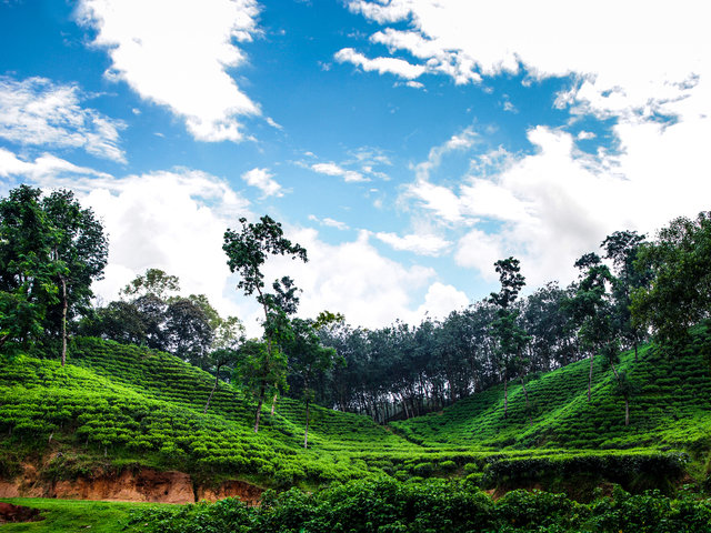 Sylhet Tour